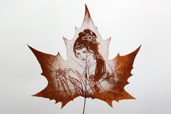 Autumn Leaf Maple Stock Illustrations, Cliparts and Royalty Free Autumn Leaf  Maple Vectors