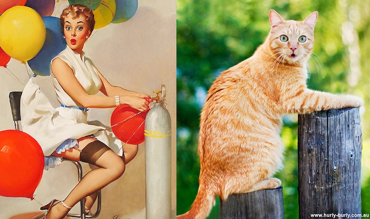 Cats That Look Like Pin Up Girls