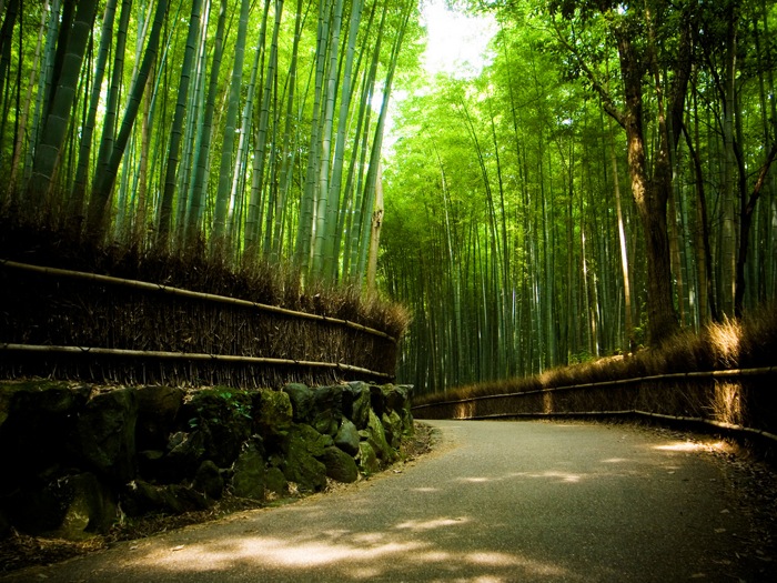 Hi-Def Pics - Zen Sanctuary: Kyoto, Japan (18 photos)