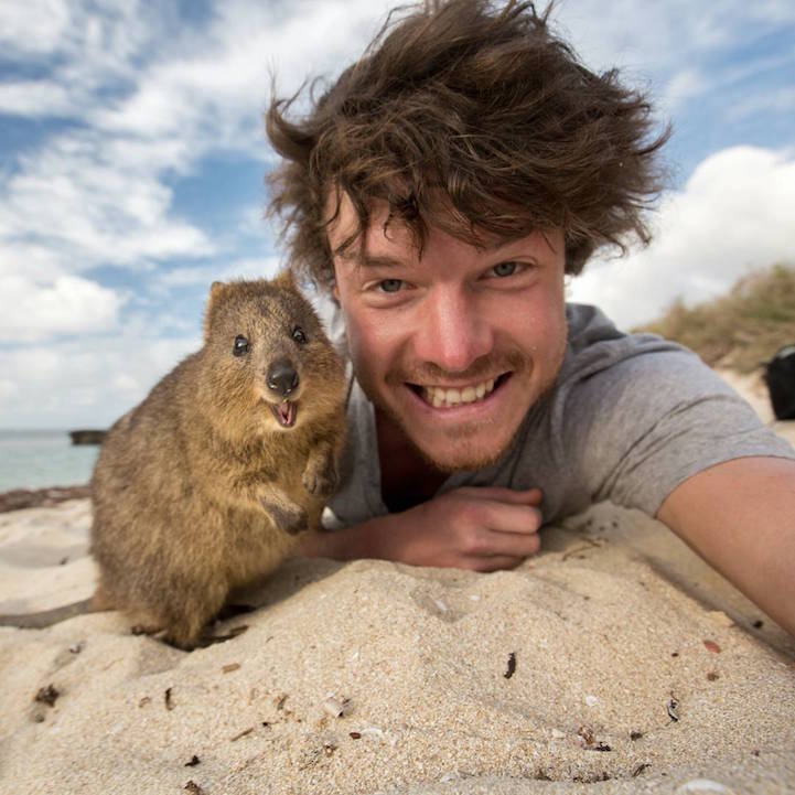 tips for taking the best selfies with animals