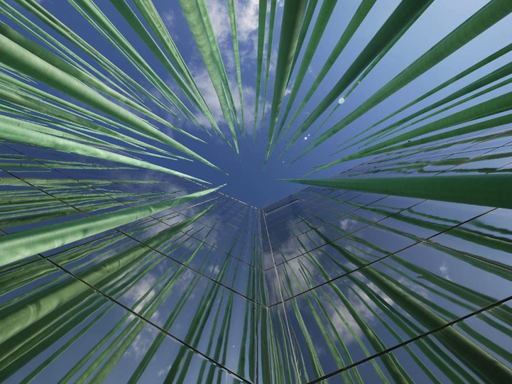 Expo Korea's Magnificent TouchSensitive LED Field