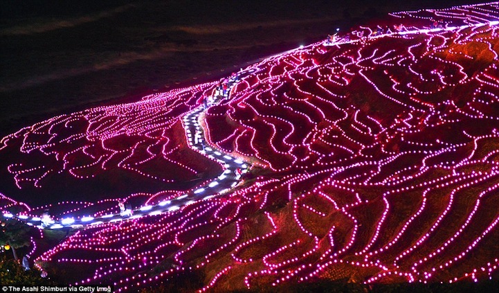 20,000 LED Lights Illuminate Japanese Rice Paddies