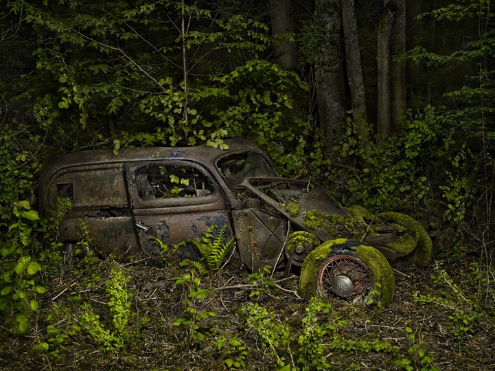 Peter Lippman abandoned cars