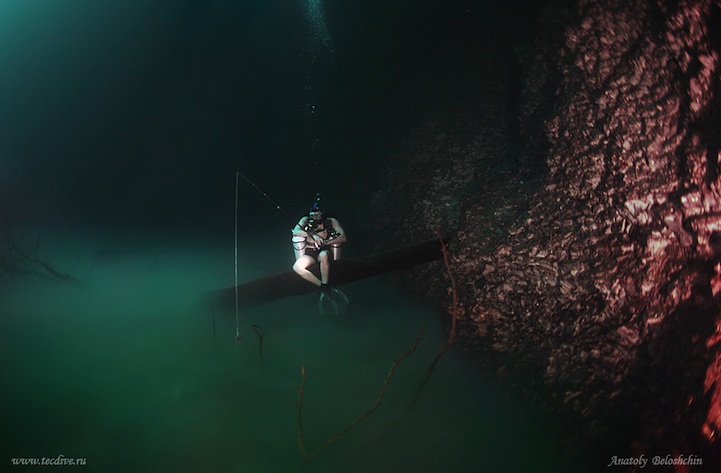 cenote angelita underwater river mexico nature underwater photography