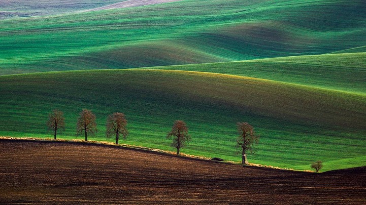 44 Colorful Landscapes Highlighting the Unbelievably Natural Beauty of ...