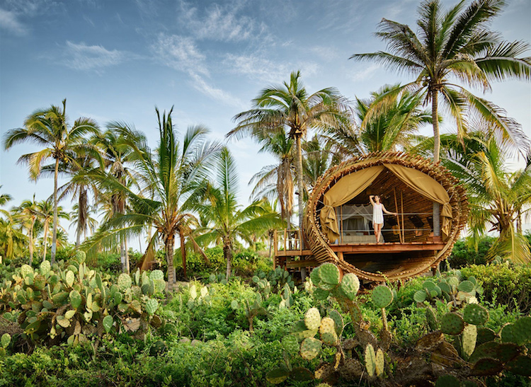 Treehouse Suite Makes For Sustainable Vacation