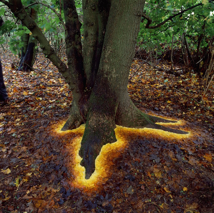 andy goldsworthy site-specific land art earthworks nature art installation