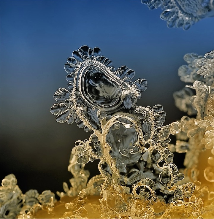 macro snowflake photography