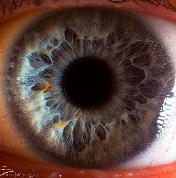 human eye iris close up