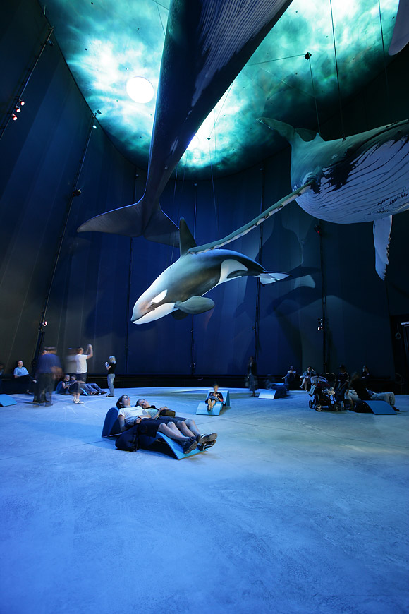Ozeaneum One Giant Fish Tank Stralsund, Germany