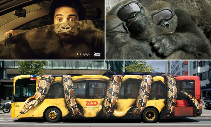 When Zoo Advertising Gets Creative (12 examples)