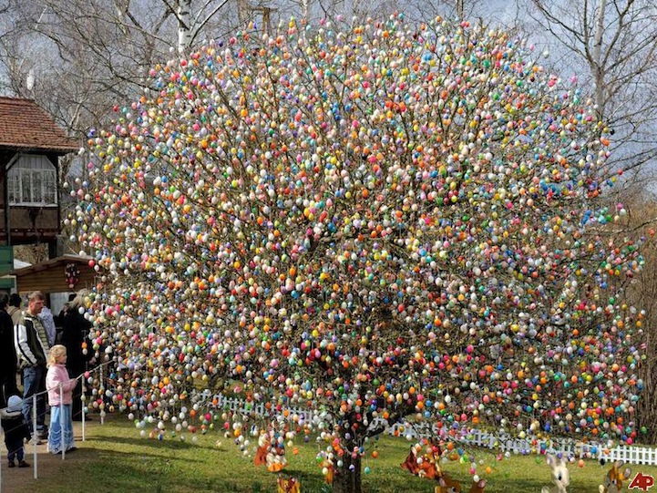 Tree Decorated With 10 000 Easter Eggs