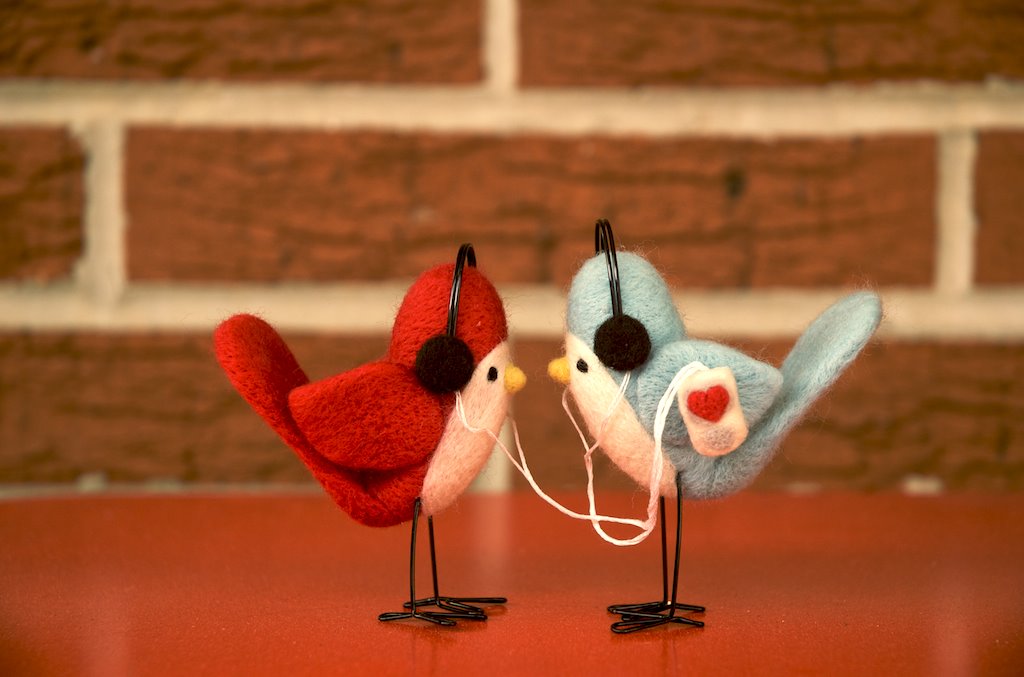 Cute Baby Birdies With Personalities to Boot! (10 Pics)