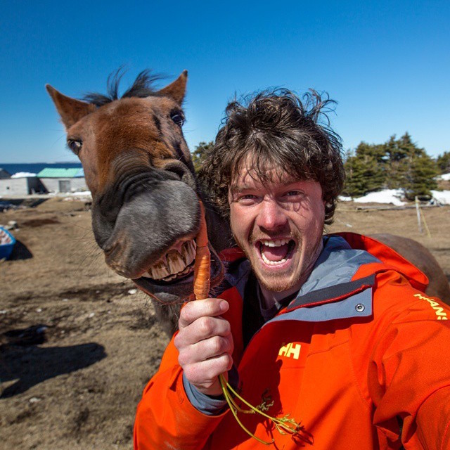 tips for taking the best selfies with animals