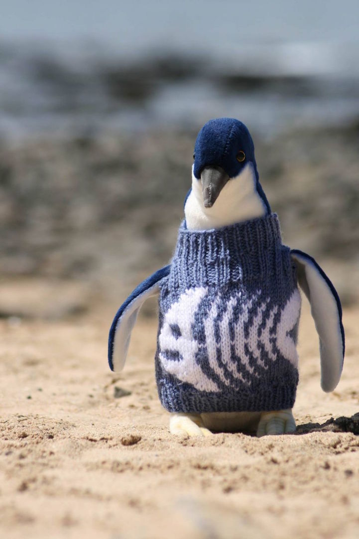 Australia's Oldest Man Knits Adorable Sweaters to Save Oil-Covered