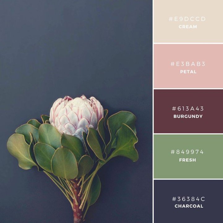 pinterest create color palette from image