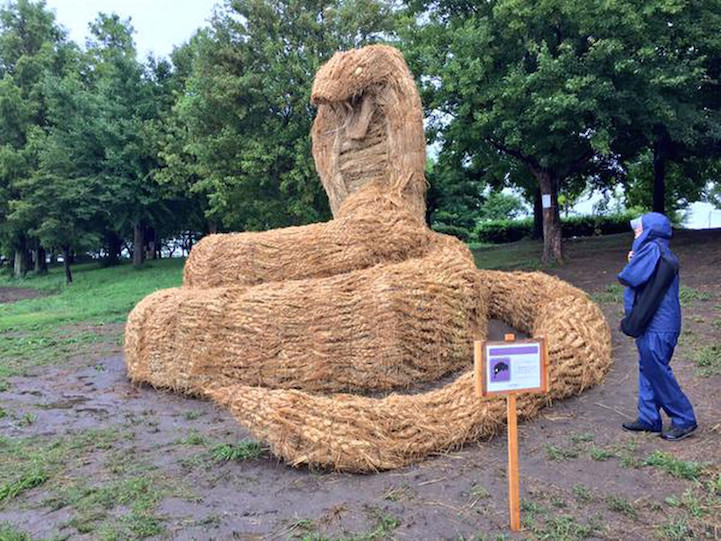 Incredible sculptures of dino-STRAWS and other creatures crafted using rice  stalks - Irish Mirror Online