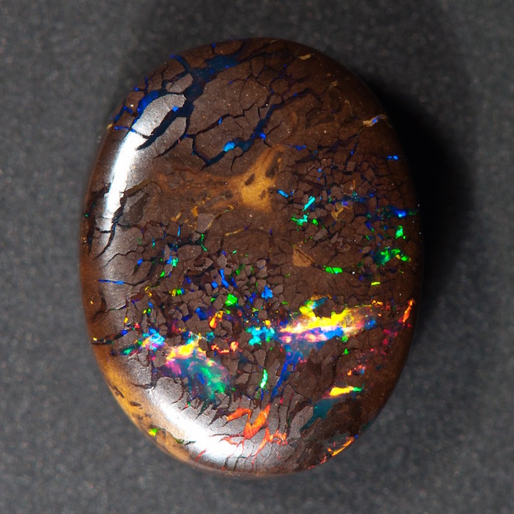 Brilliant Gemstone Resembles a Prismatic Universe Bursting Out of Wood