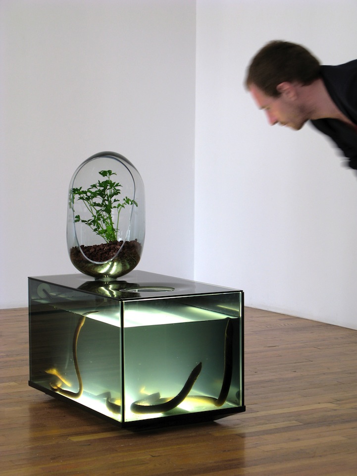 Amazing DIY Fish Tank Combined with Gardening Eco-System