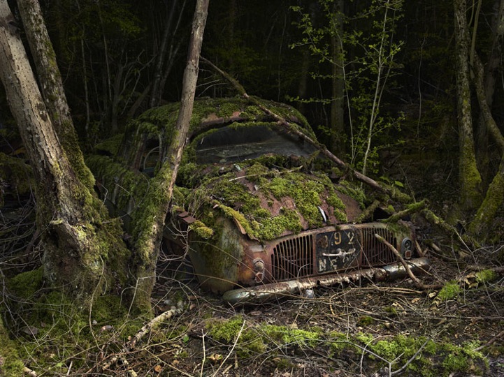 Peter Lippman abandoned cars