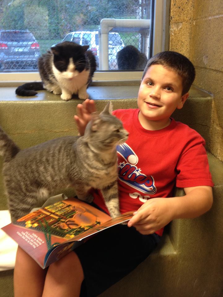 Adorable Kids Learn to Read While Soothing Cute Shelter Cats