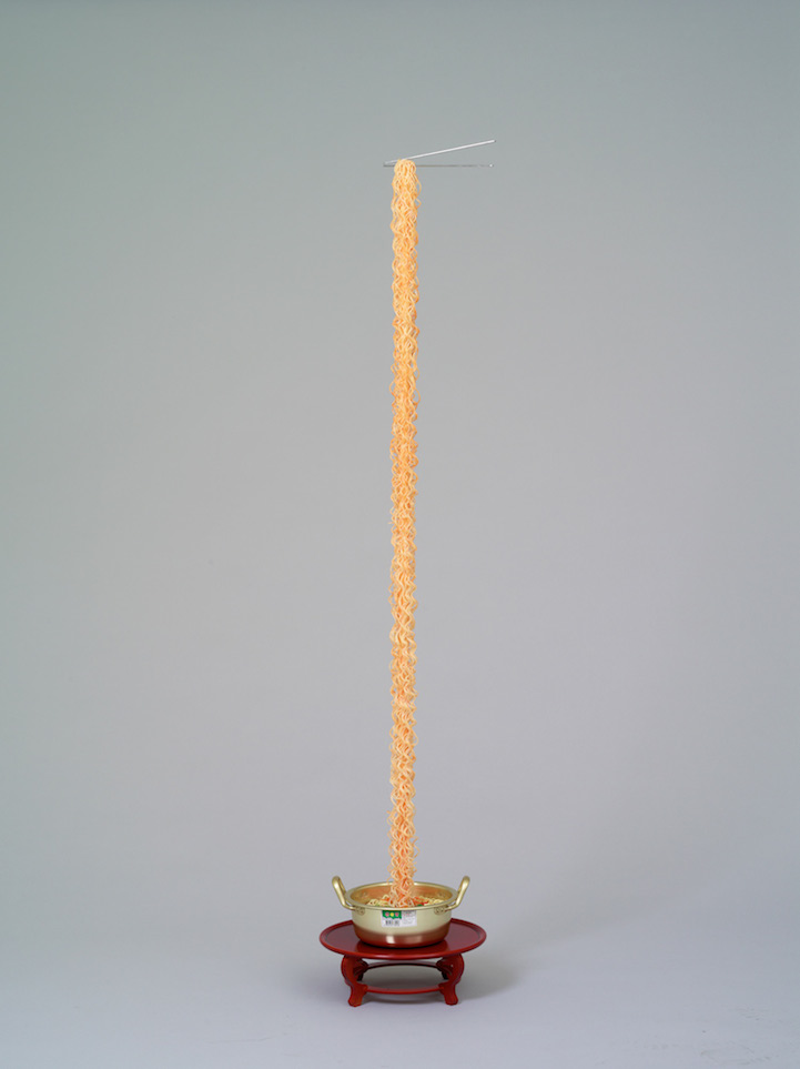 Hyper-Realistic Resin Sculptures of Dangling Korean Noodles