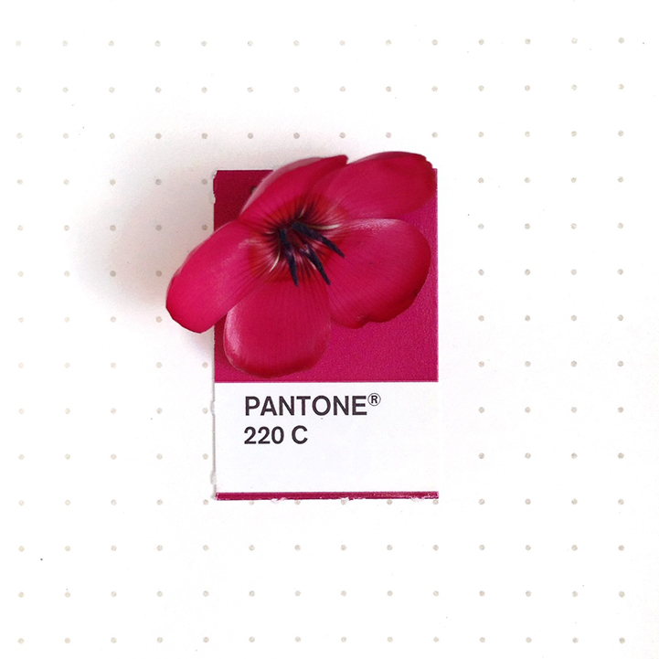 Tiny Objects Perfectly Paired with Matching Pantone Swatch