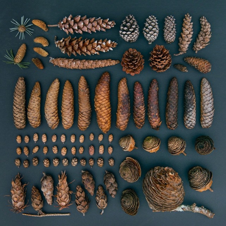 Visually Satisfying Arrangements Of Everyday Objects By Emily Blincoe