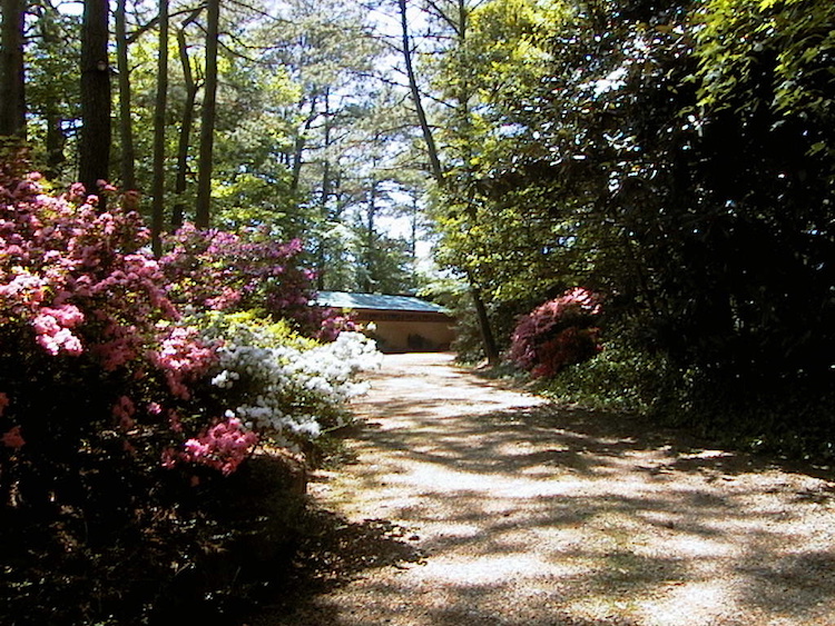 The Secluded Cooke House