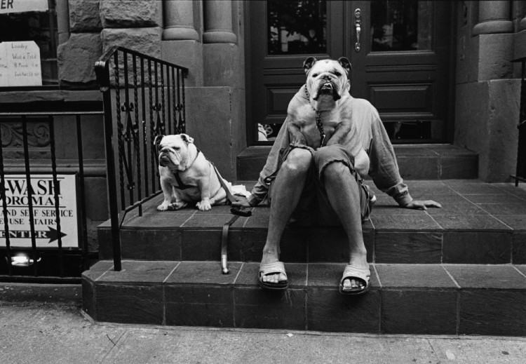 Elliott erwitt фотографии