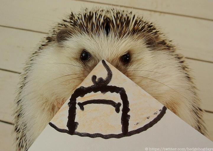 marutaro hedgehog