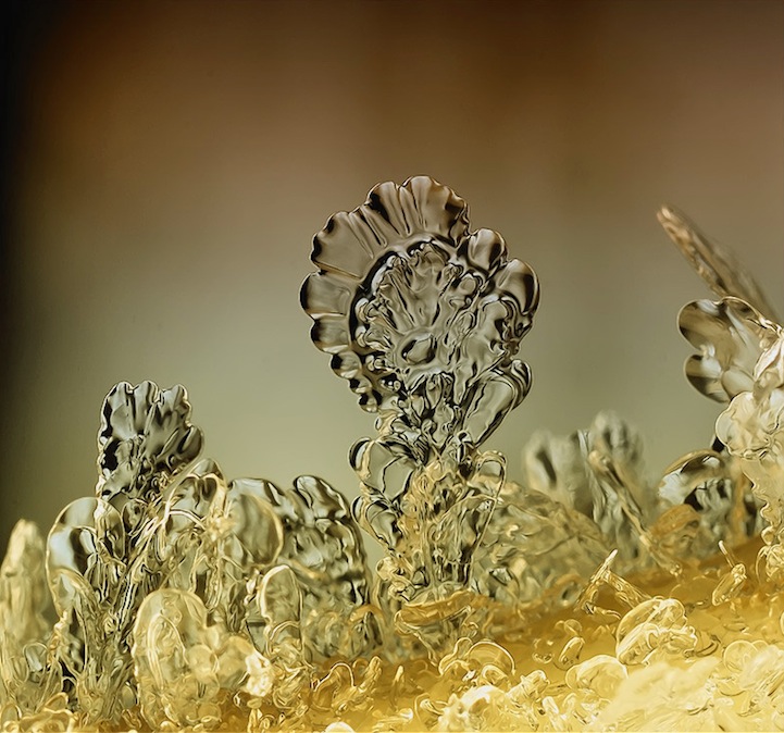 macro snowflake photography