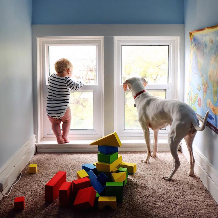 Rescue Dog And Baby Building Blocks