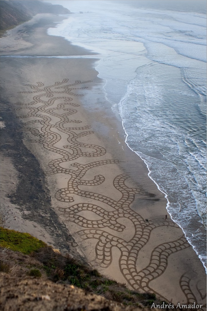 Artist Uses a Rake to Create Amazingly Large Sand Paintings